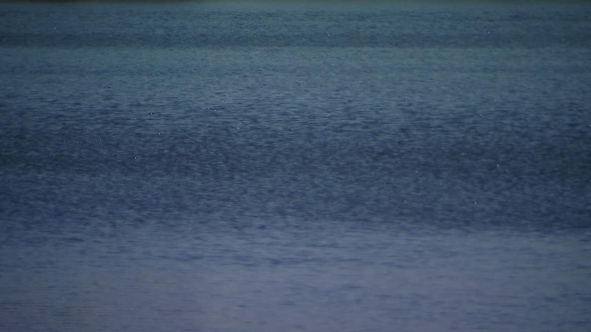 Florida man accused of attempted murder at Miami lobster diving spot