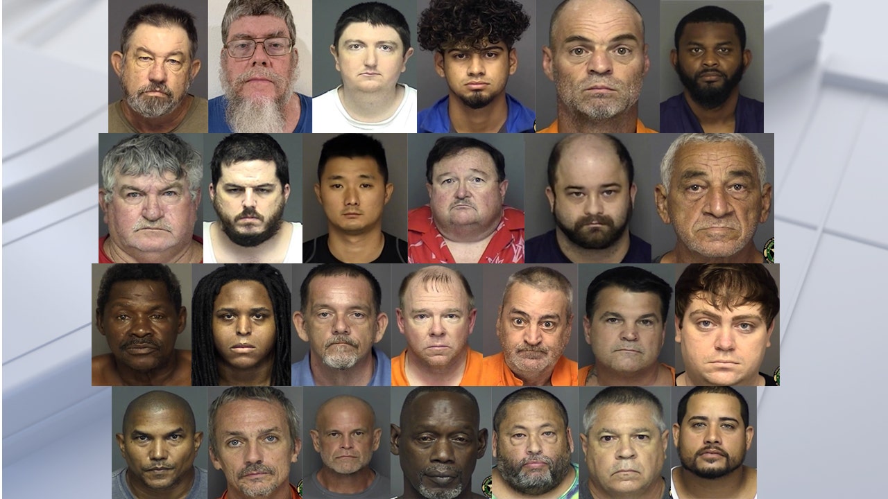 More Than Two Dozen Registered Sex Offenders Arrested For Improper ...