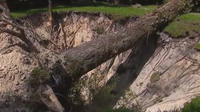 Massive 40-foot by 20-foot sinkhole opens up in Central Florida yard