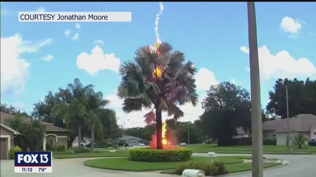 'A bolt from the blue' strikes in Lutz neighborhood