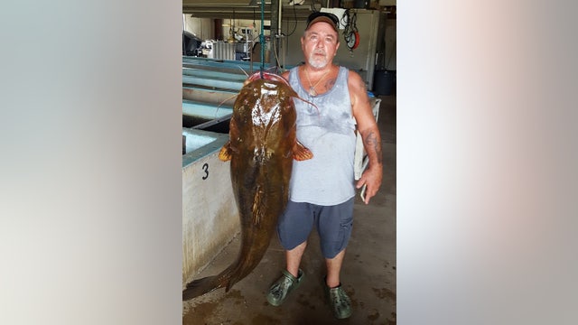 Lifelong angler snags 70-pound catfish to set new Florida record