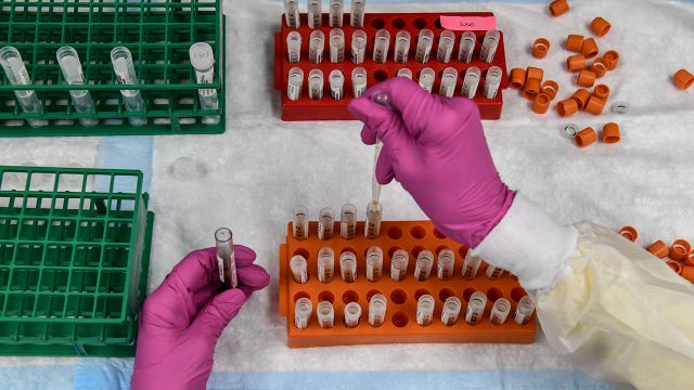 Pharmaceutical industry official says vaccine will be affordable