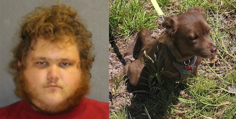 Sex Dog Rep - Florida man arrested for possession of child porn, animal cruelty, and  bestiality, deputies say