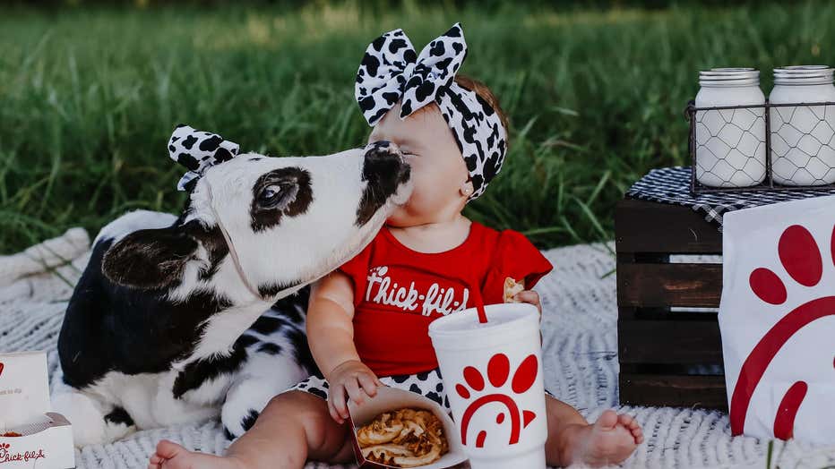 brae-and-bougie-chick-fil-a-cow-photoshoot-4.jpg
