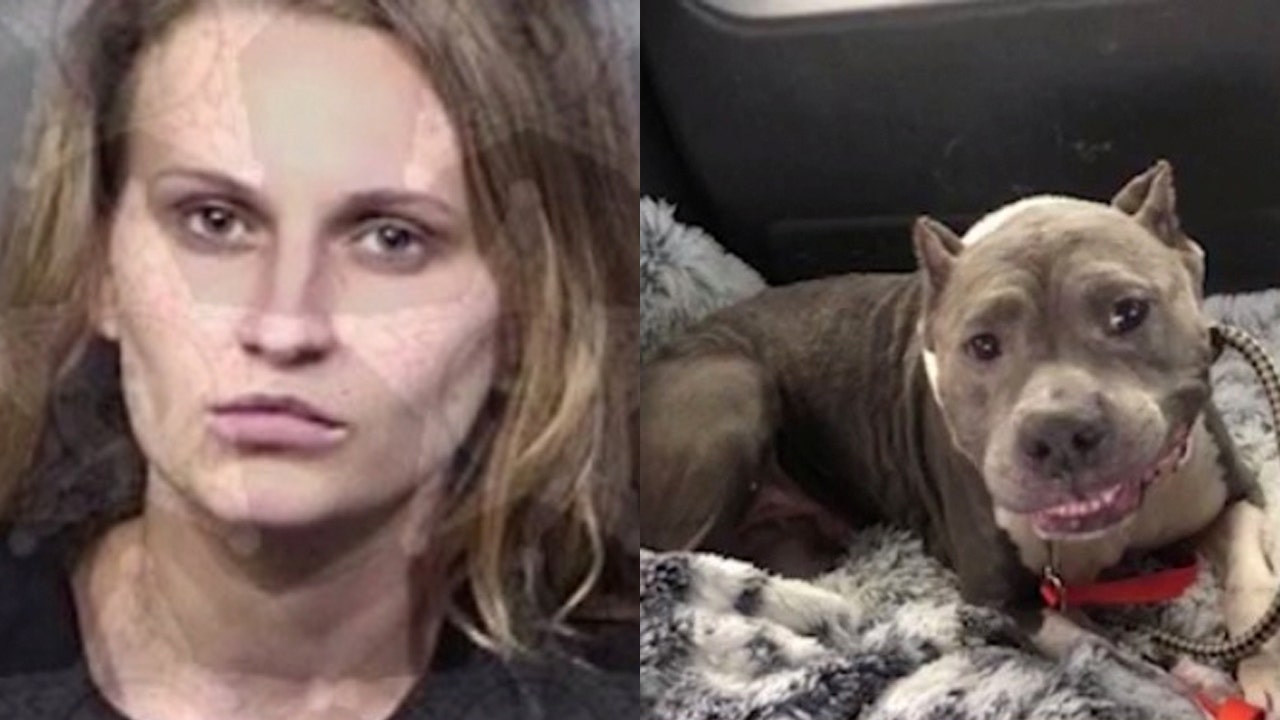 Woman faces misdemeanor animal cruelty charge after hitting dog | FOX ...