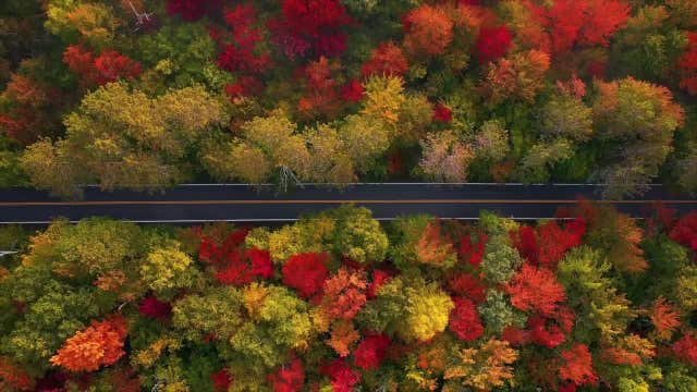 Aerial footage shows stunning autumn foliage in Vermont