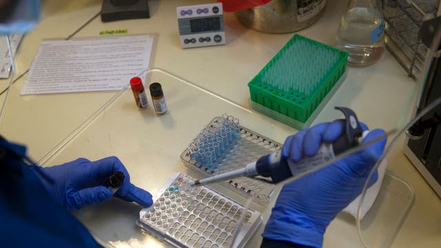 Private lab company cleared in Saturday's COVID-19 data problem
