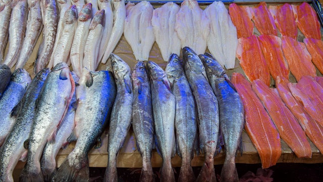 Infectious coronavirus found on salmon for up to a week, study suggests
