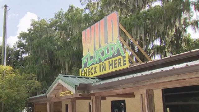 Wild Florida drive-thru safari proves to be popular pandemic attraction; owners expanding