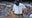Florida Gators football coach Dan Mullen tests positive for COVID-19