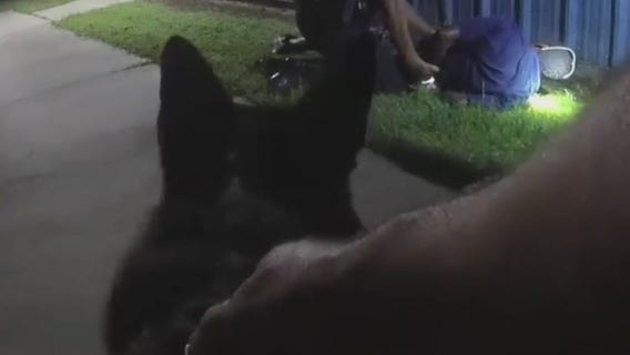 K-9 tracks down man accused of stealing from Florida elementary school