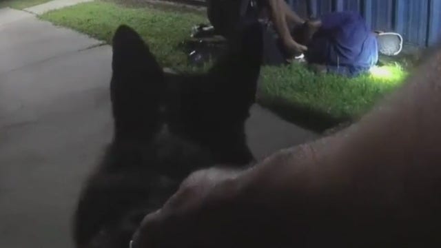 K-9 tracks down man accused of stealing from Florida elementary school