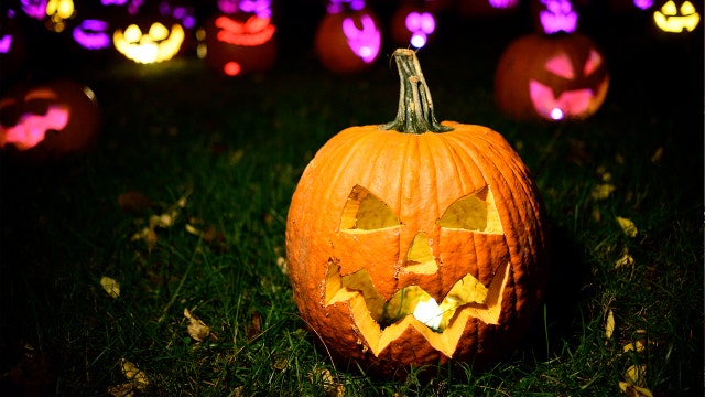 Hillsborough deputies to remind sex offenders of Halloween rules