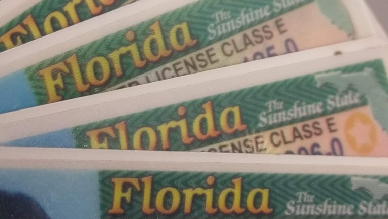 florida driver's licenses wtvt