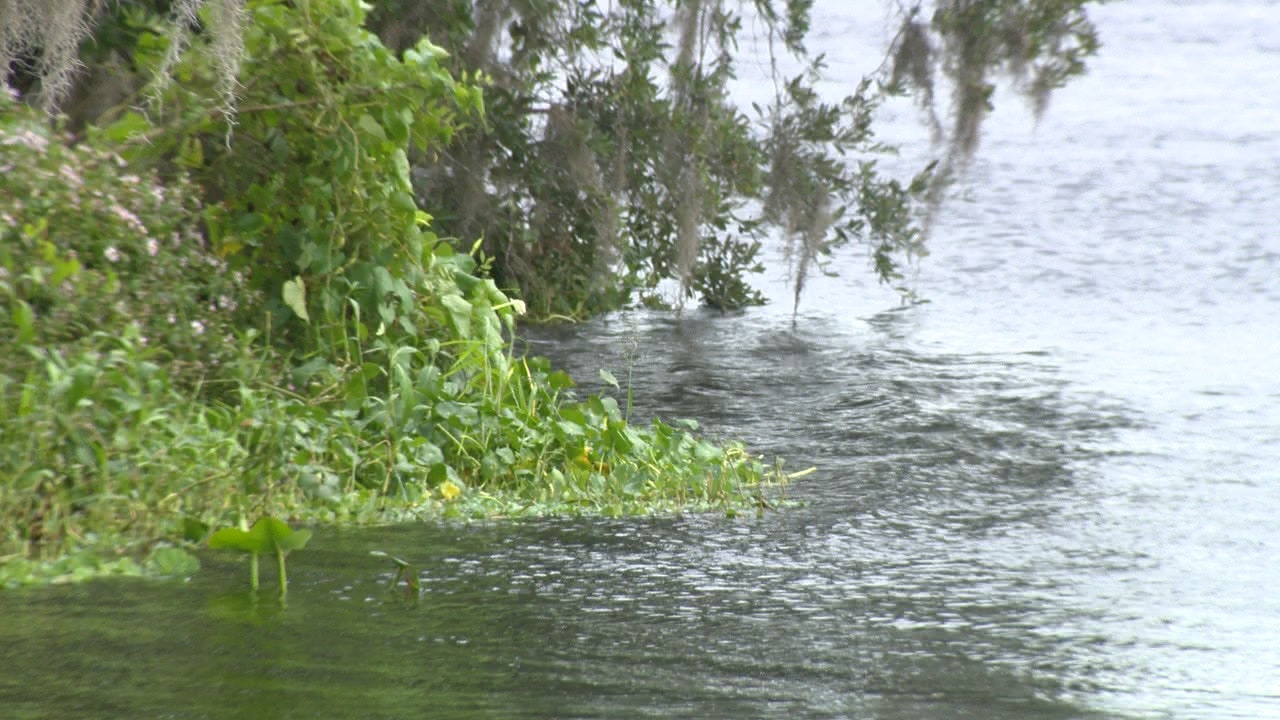 Lake County monitoring river levels after Eta moves through