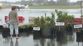 DeLand offering free trees to residents affected by tornado in August