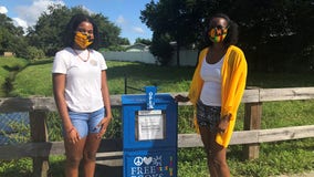 Fern Park mom, daughter create 'Free Little Library' to encourage reading during pandemic