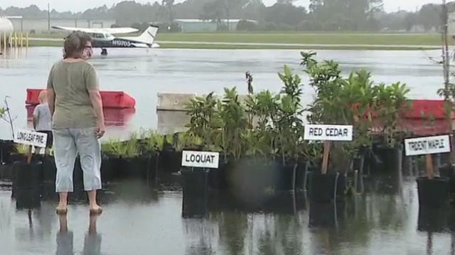 DeLand offering free trees to residents affected by tornado in August