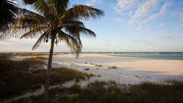 Florida hospital COVID nurses surprised with island vacation