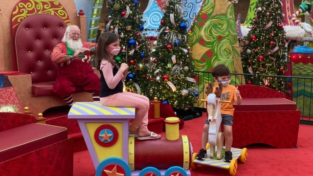 Black Friday shoppers visit Mall at Millenia with COVID-19 precautions in place