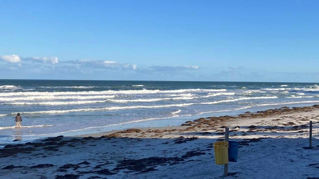 Deadly beach currents claim 2 lives in Volusia County, dozens others rescued