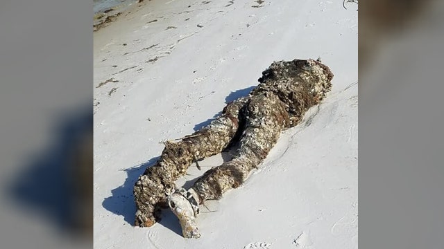 'Decapitated body' found on Florida beach turns out to be mannequin