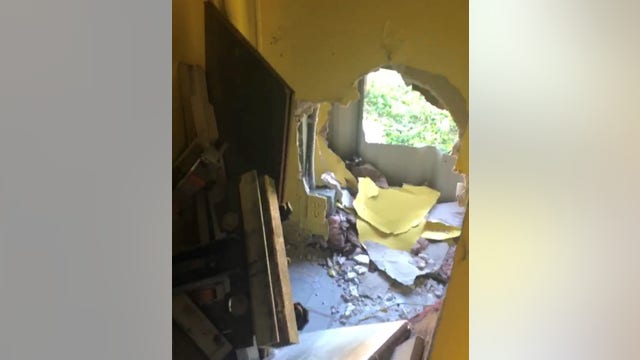 Suspect breaks through wall, steals dozens of animals from Kissimmee pet store