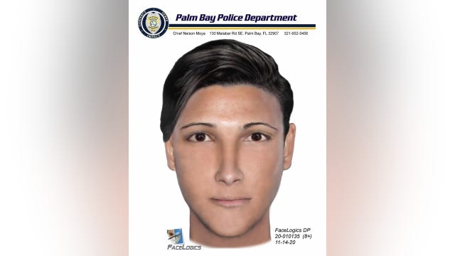 Sketch released of man accused of trying to lure young girl in Palm Bay