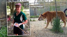 Carole Baskin: Tiger at Big Cat Rescue 'nearly tore off' arm of volunteer who didn't follow protocol