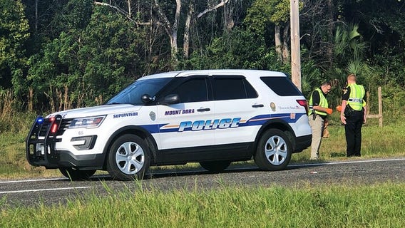 Pedestrian struck, killed along U.S. 441 near Mount Dora