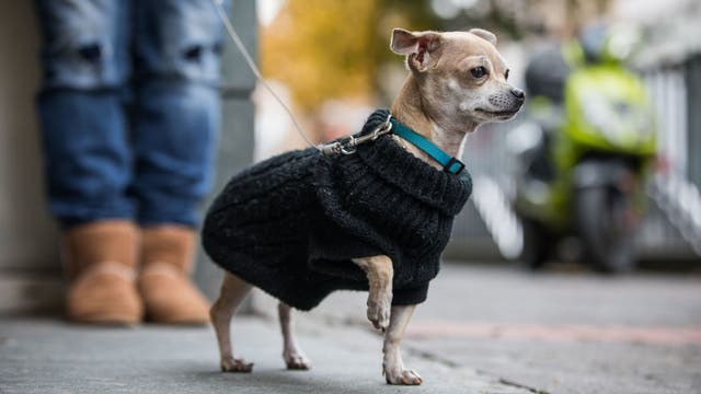 Cold front coming: How chilly will it get this weekend in Central Florida?
