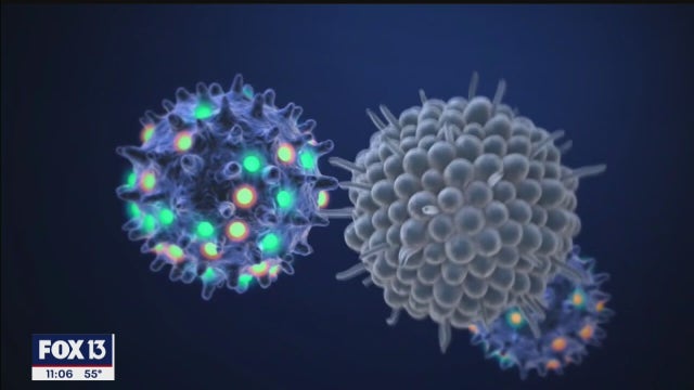 COVID-19 mutations should not impact vaccine effectiveness, health experts say