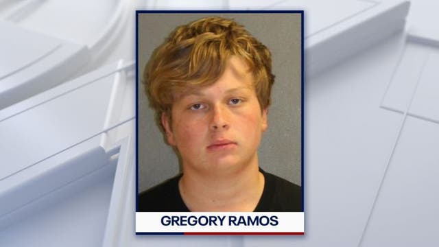 Florida teen who killed his mother sentenced to 45 years in prison