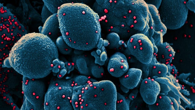 Florida is the state with the most cases of the new, more contagious COVID-19 variant