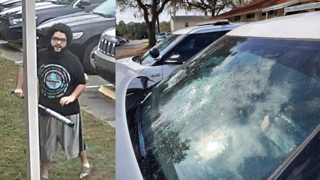 Deputies: Man arrested after beating patrol cars with baseball bat