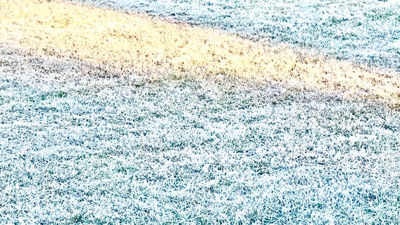 City of Gainesville to open up its Cold Night Shelter program Friday