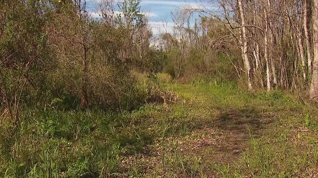 Portions of the Little Wekiva River are dry, buried in silt and debris