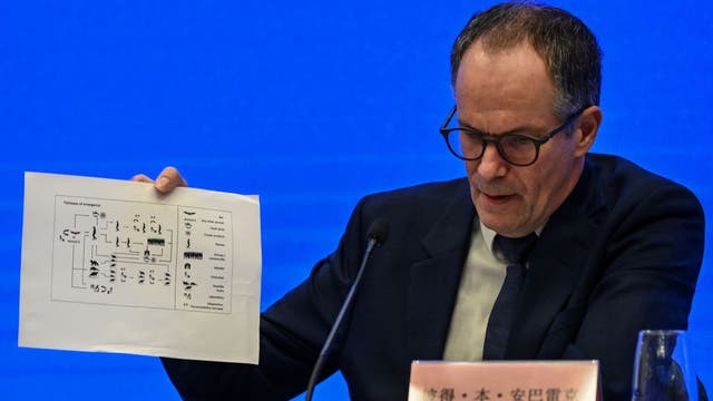 WHO team says coronavirus unlikely to have leaked from China lab
