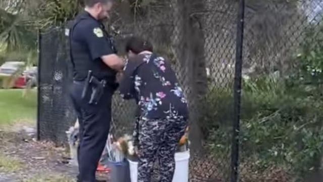 Trending now: Orlando officer's kindness goes viral, 'frozen' gators, unusual bear attack