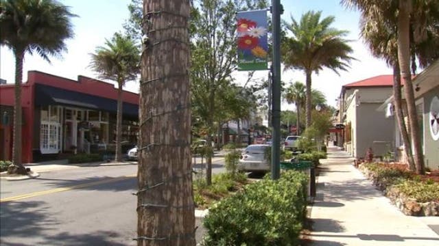 Changes coming to this year's Mount Dora Arts Festival