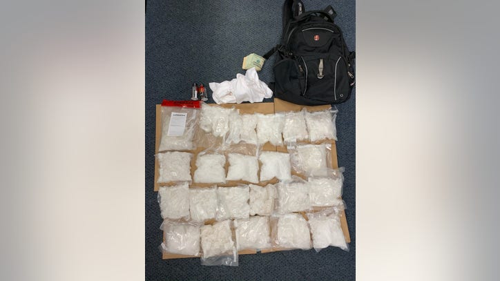 Man carried more than 22 pounds of meth through Orlando airport, TSA says - Vimarsana News