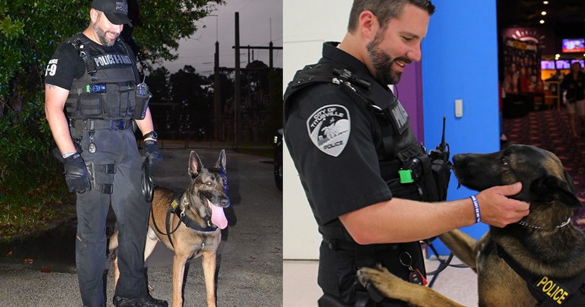 Retired Florida K9 passes away after 7 years of service | FOX 35 Orlando