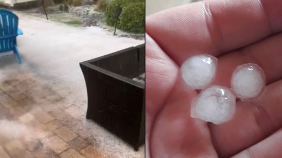 'Buried in ice!': Hailstorm creates winter wonderland in Daytona Beach