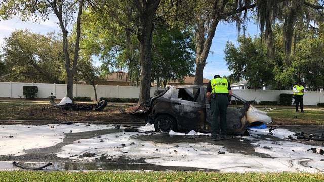 PCSO: Hit-and-run driver killed after car crashes into tree, bursts into flames while fleeing the scene