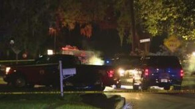 Mother, 2 dogs killed in early morning house fire in Sanford