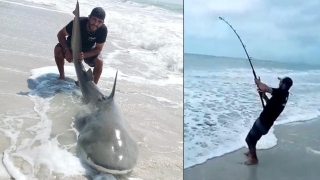 WATCH: Fishermen catch massive bull shark on Florida beach