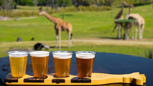 New 'Giraffe Bar' to open at Busch Gardens this month