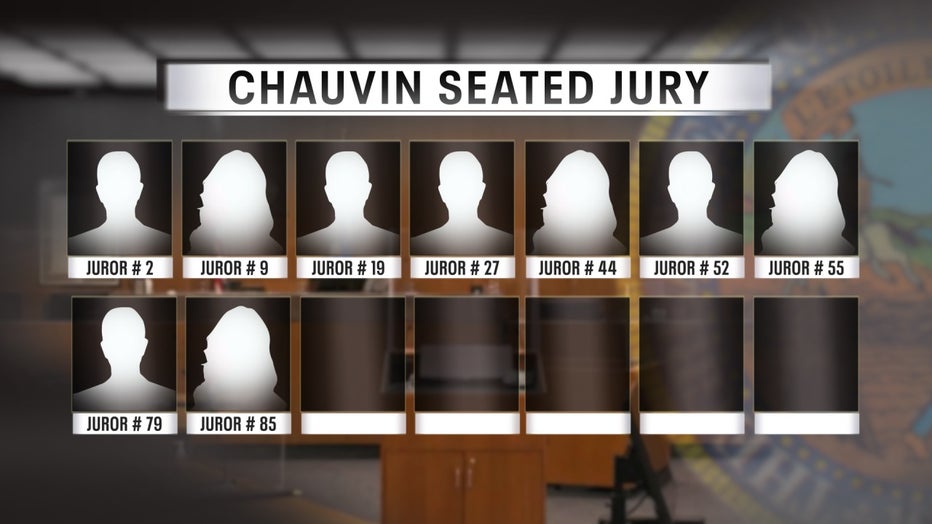Chauvin trial jury 3-17