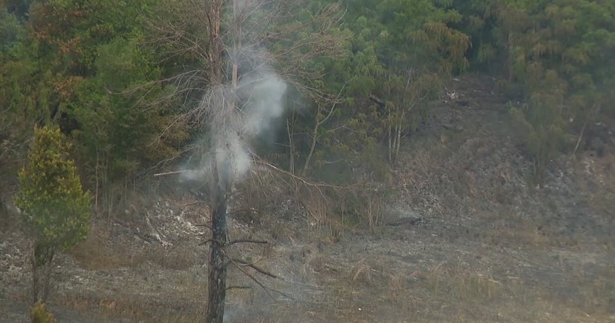 Firefighters: 40-acre brush fire in Apopka 90% contained | FOX 35 Orlando