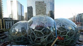 Amazon pushes back return-to-office to January 2022